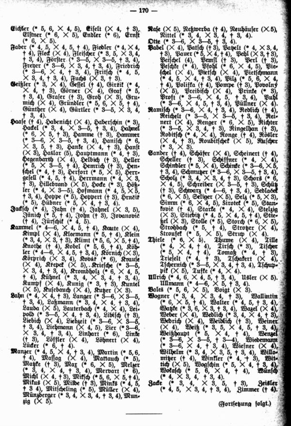Die Familiennamen der Kirchengemeinde Quitkau bei Böhm - 2