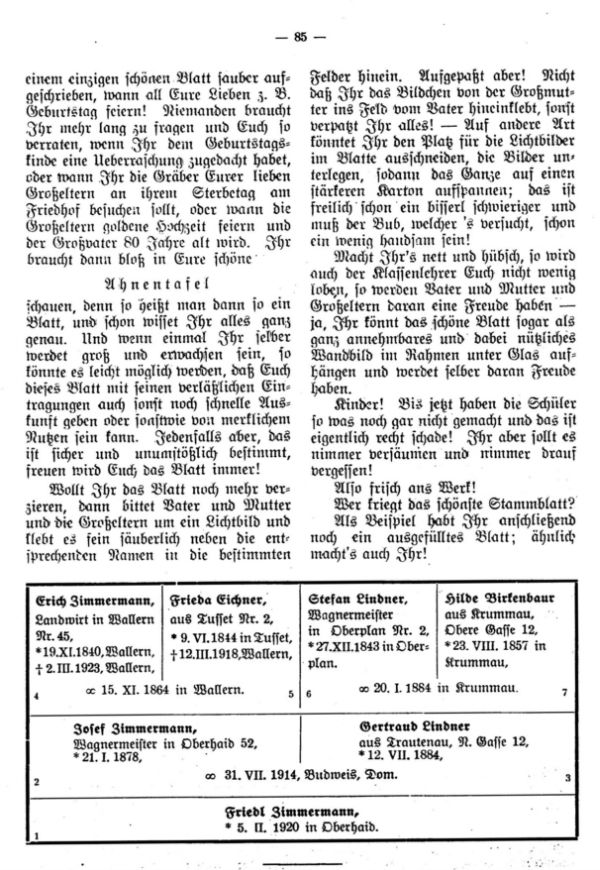 Der kleine Familienforscher - 5