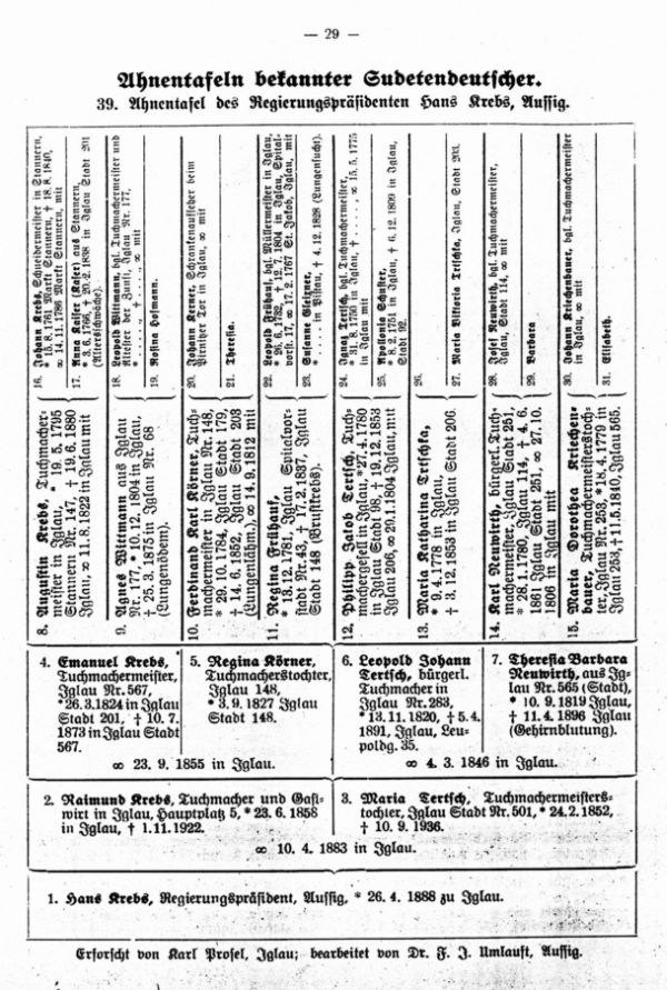 Ahnentafeln bekannter Sudetendeutscher: 39. Hans Krebs, Regierungspräsident in Aussig