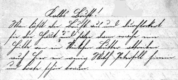 Rezept 'Kalbs Brust'